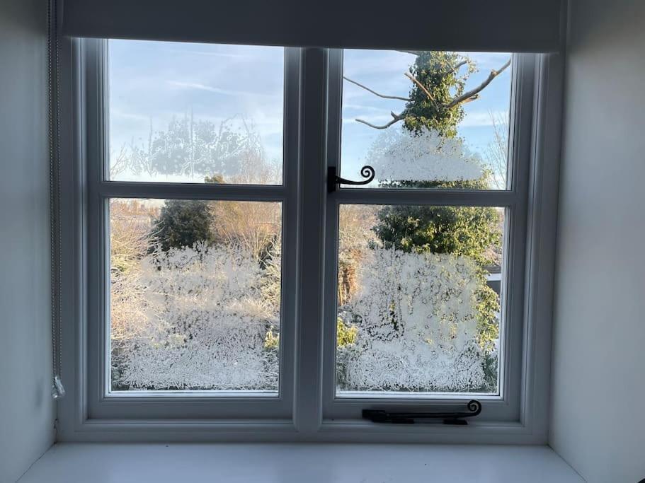 Delightful Ely House Bright And Warm With Cathedral View Lejlighed Eksteriør billede